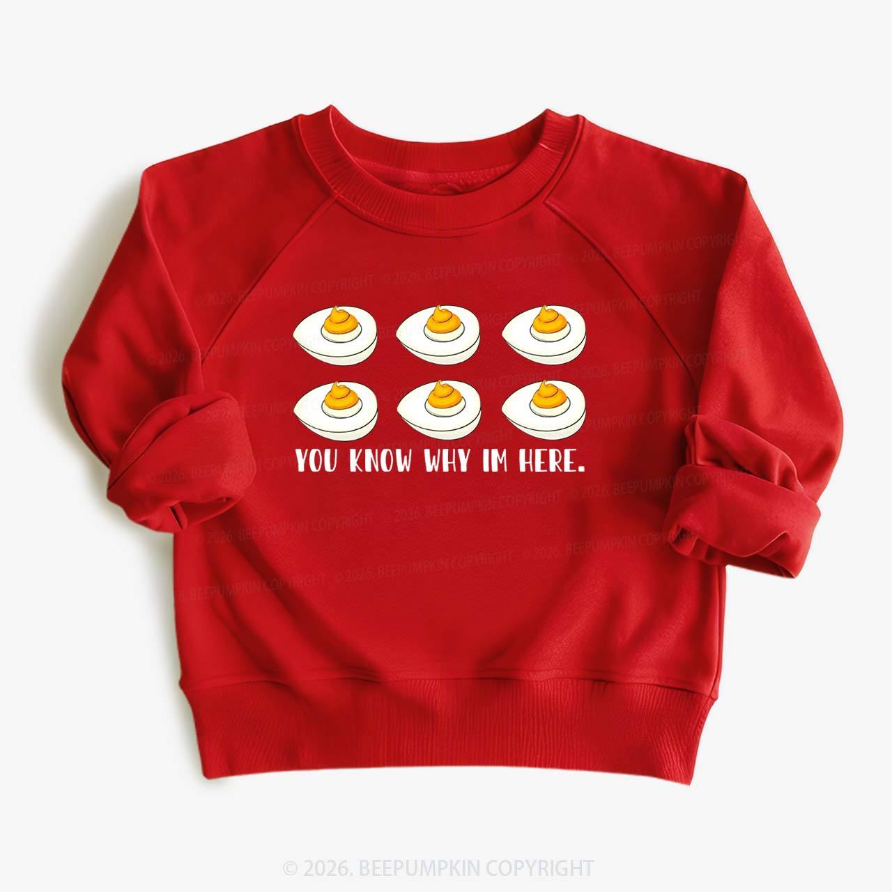 You Know Why I'm Here Funny Kid's Sweatshirt