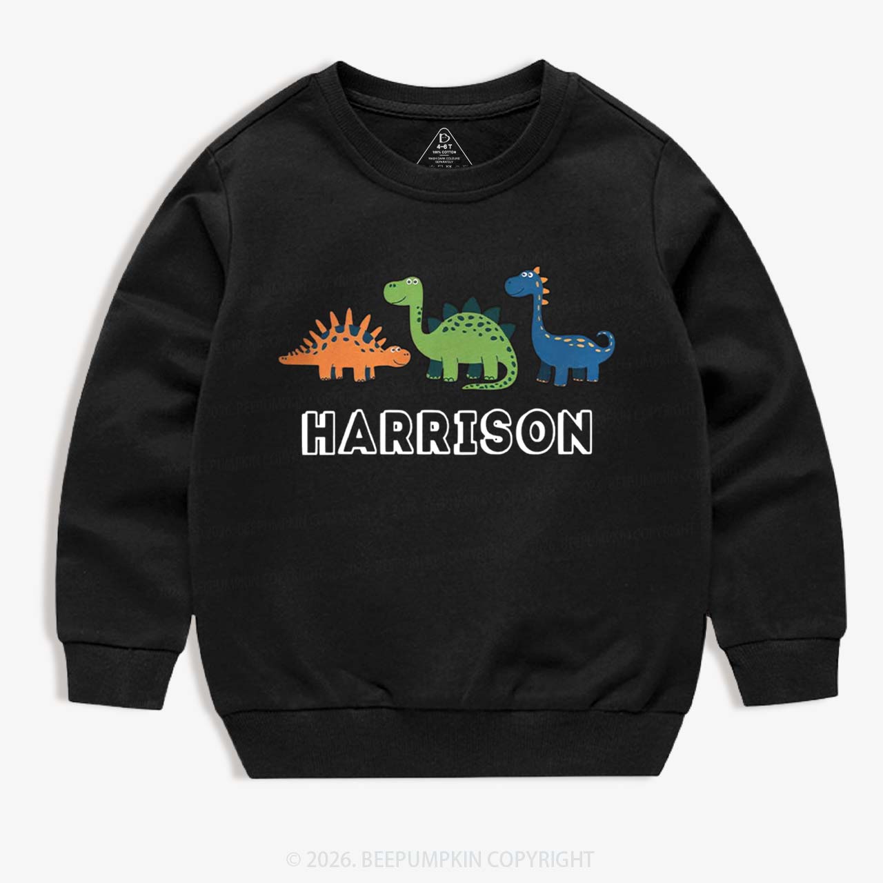 Personalized Cute Dinosaur Name Kid's Sweatshirt