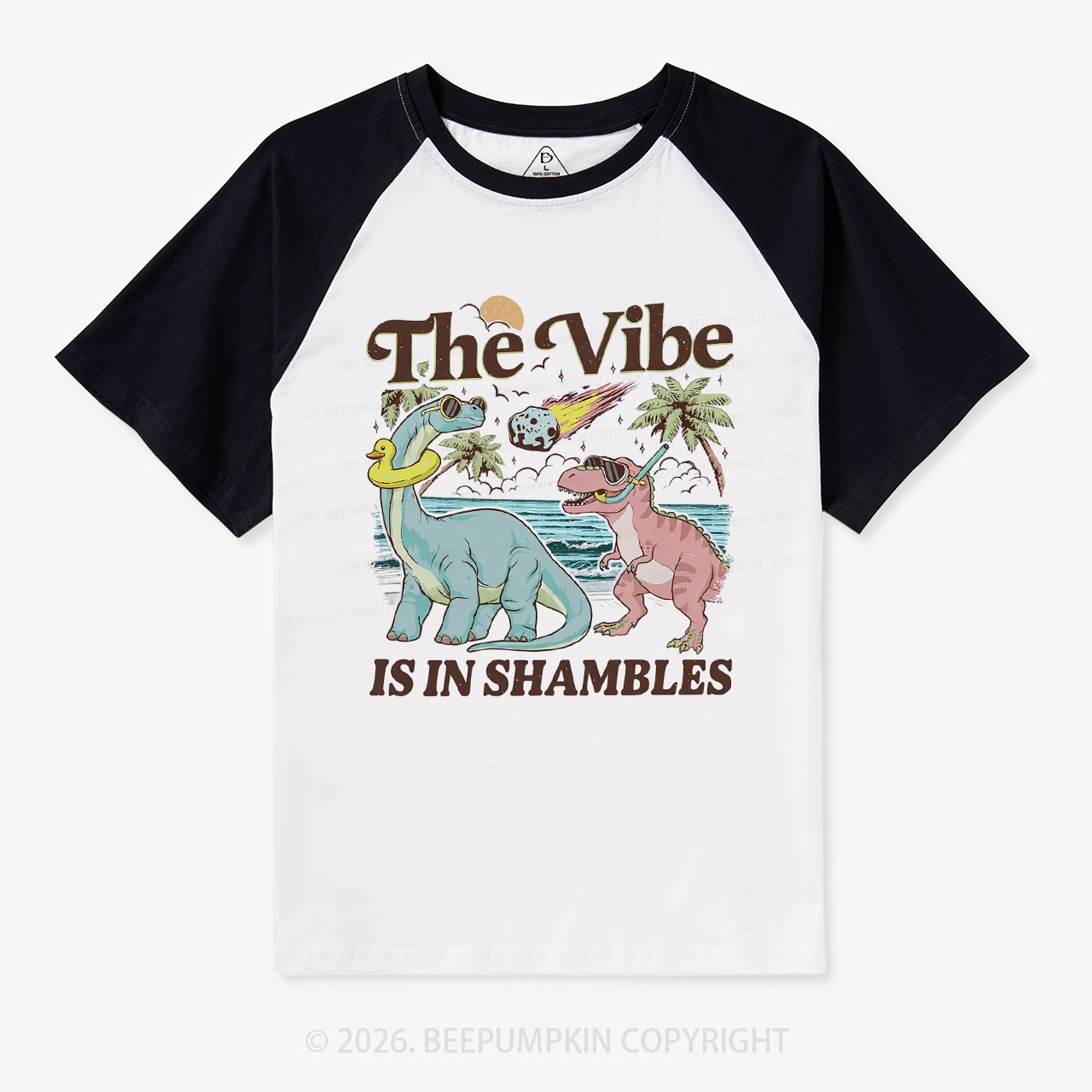 The Vibe Is In Shambles Funny Dinosaur Retro Raglan T-Shirt
