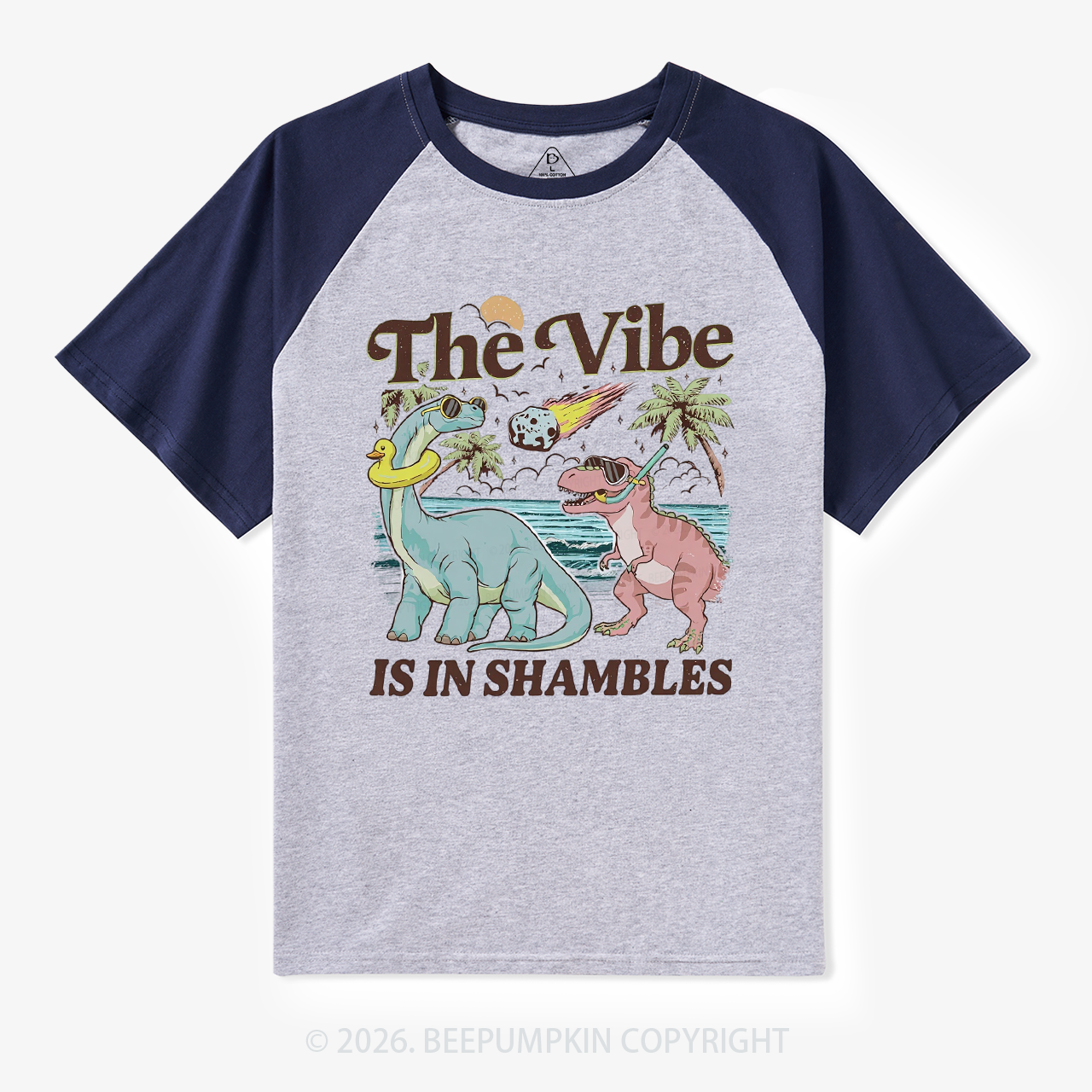 The Vibe Is In Shambles Funny Dinosaur Retro Raglan T-Shirt