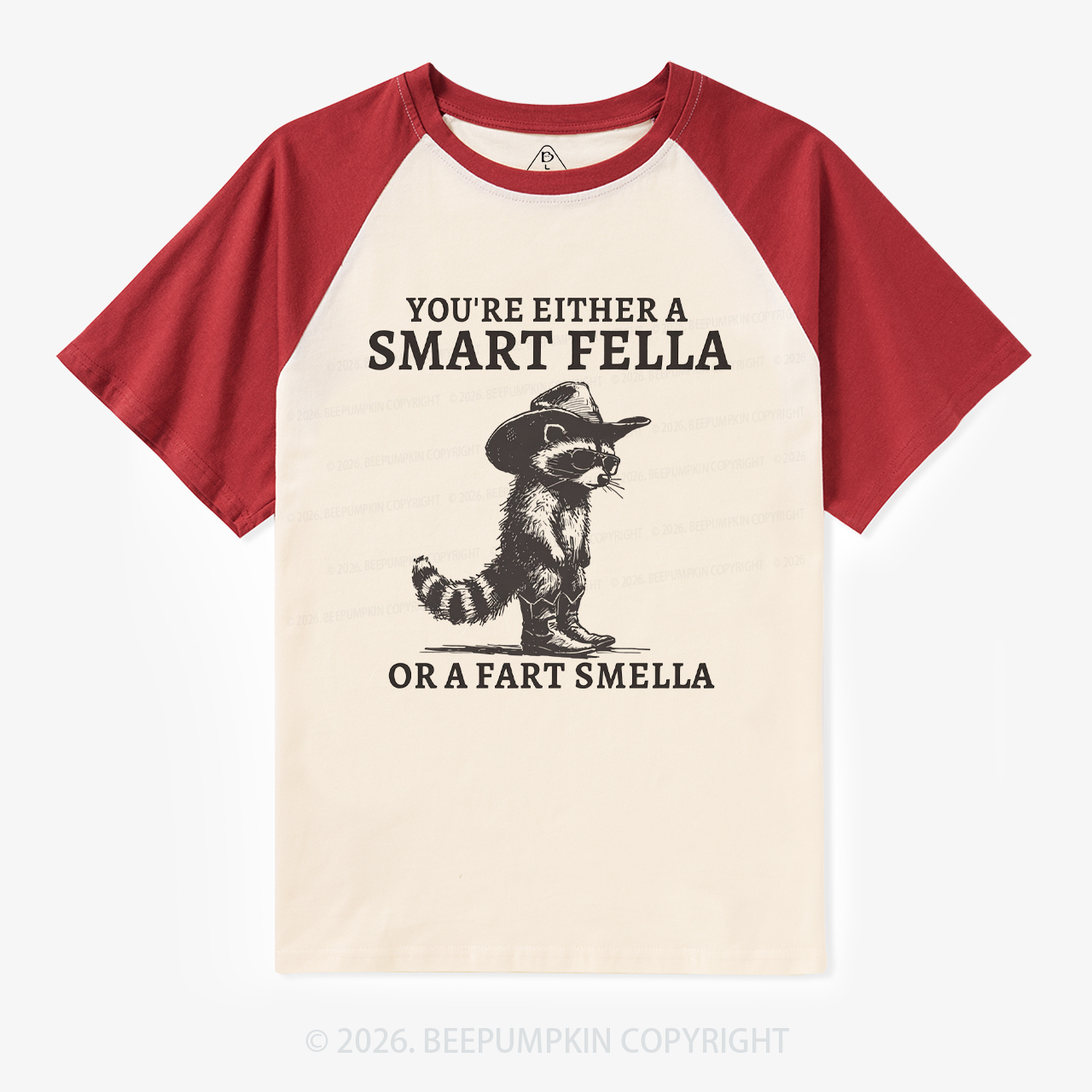 Retro Smart Fella Raccoon 90s Raglan T-Shirt