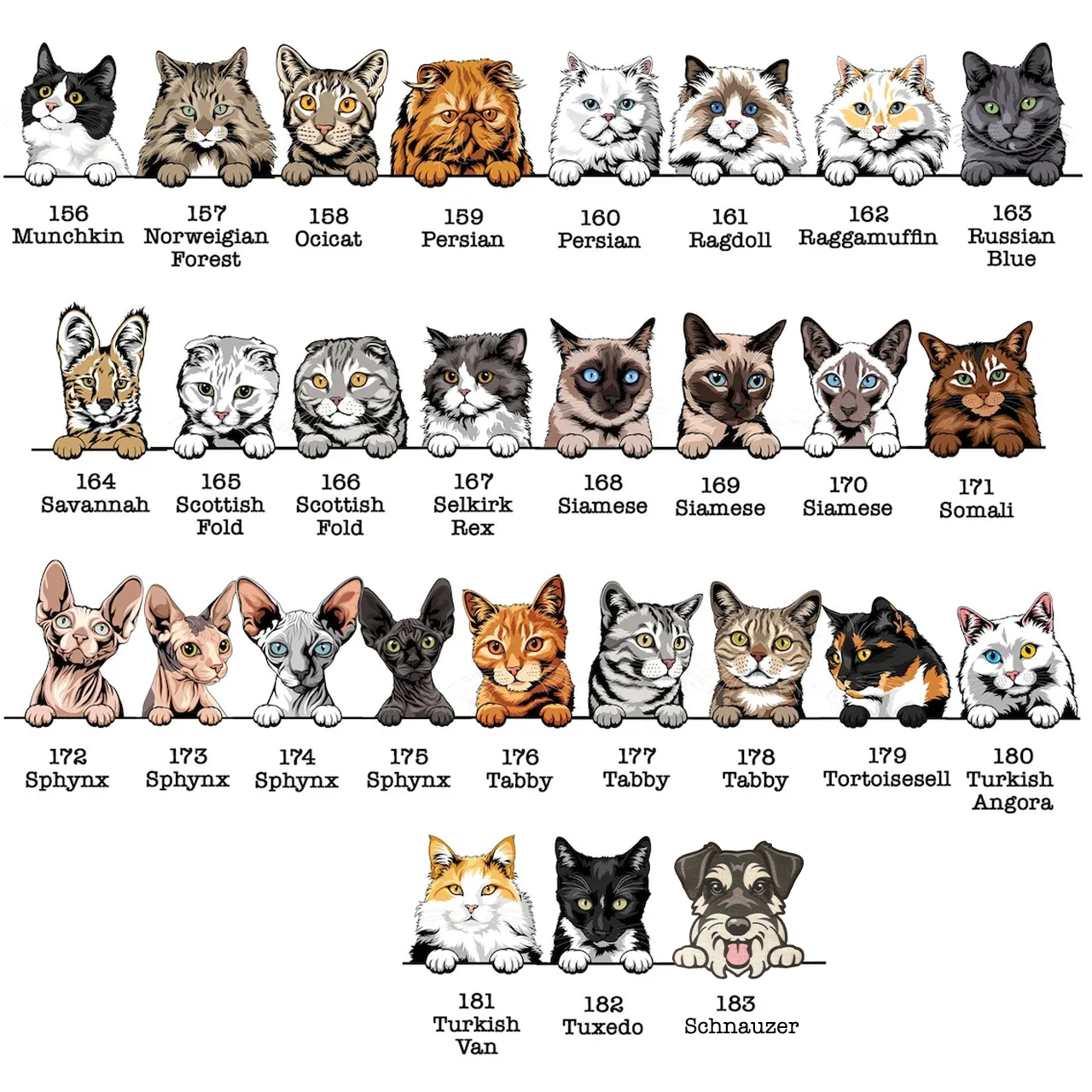 Personalized Protected By Dog Toddler&Kids Tees 