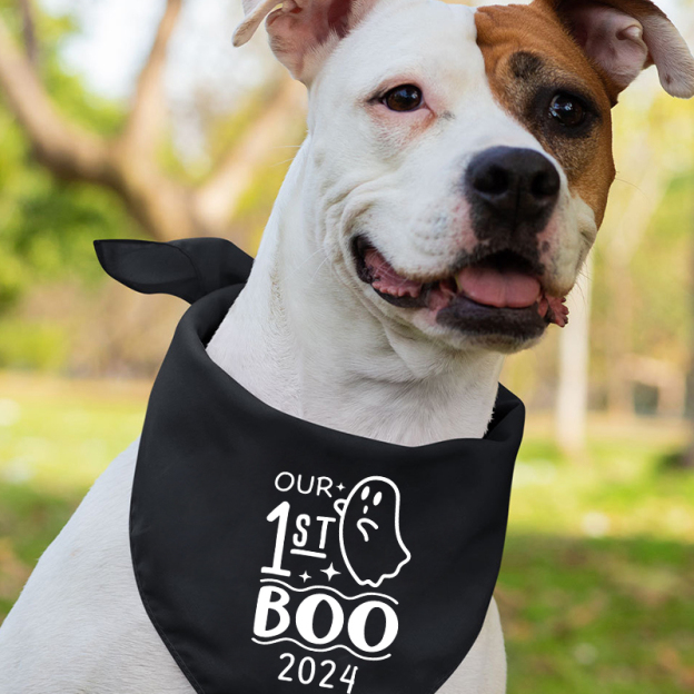 Our First Family Boo 2024 Halloween Matching Shirts