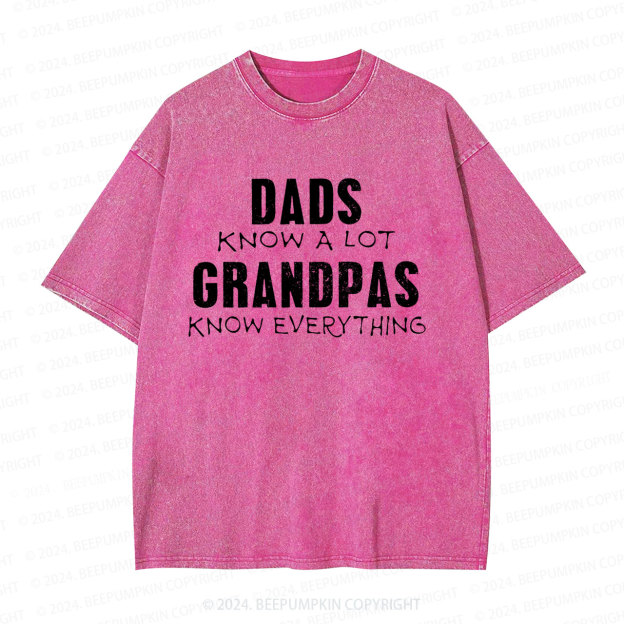 Dad Know A Lot Grandpa Dad Washed T-Shirts 