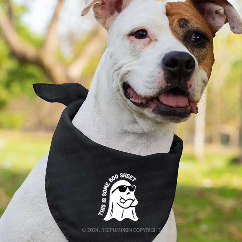 This Is Some Boo Sheet Family Matching Shirts