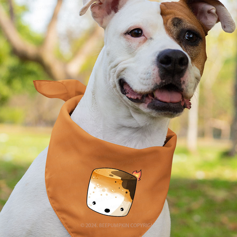 Group S'mores Halloween Family Matching Shirts