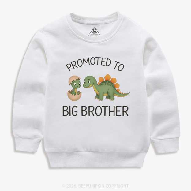 Promoted to Big Brother Kid's Sweatshirt