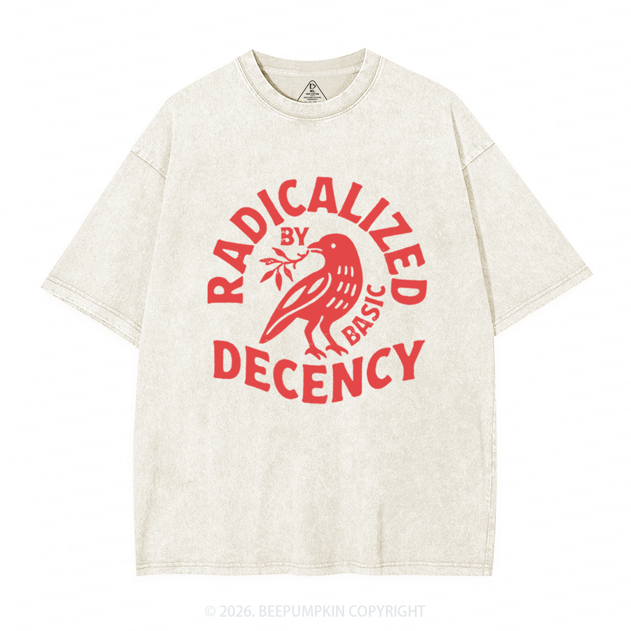 Radicalized By Basic Decency Washed T-Shirts