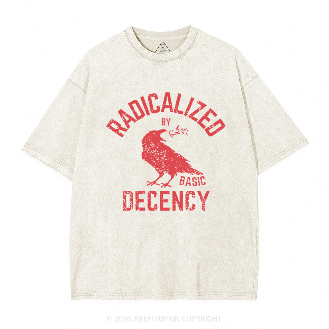 Radicalized By Basic Decency Equality Washed T-Shirts