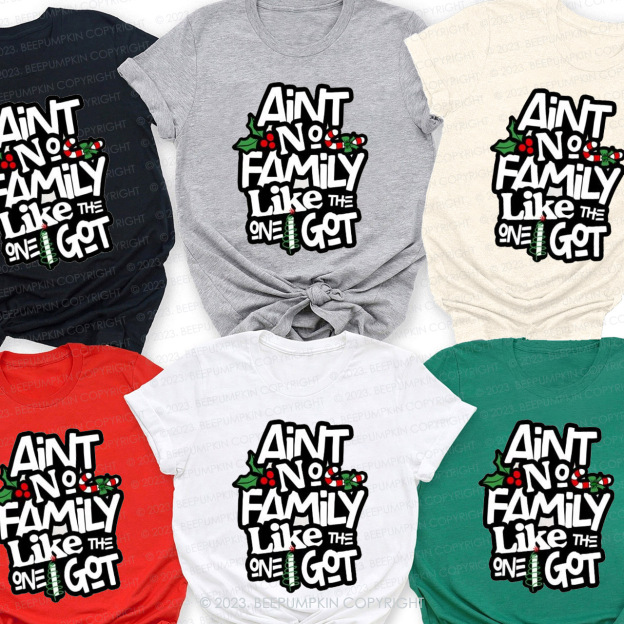 Ain't No Family Like The I Got Christmas Family Matching Shirts Beepumpkin