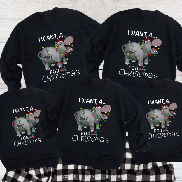 I Want a Rhino for Christmas Matching Family Sweatshirt
