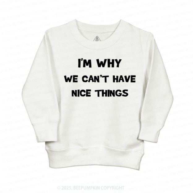 I'm Why We Can't Have Nice Things Kid's Sweatshirt