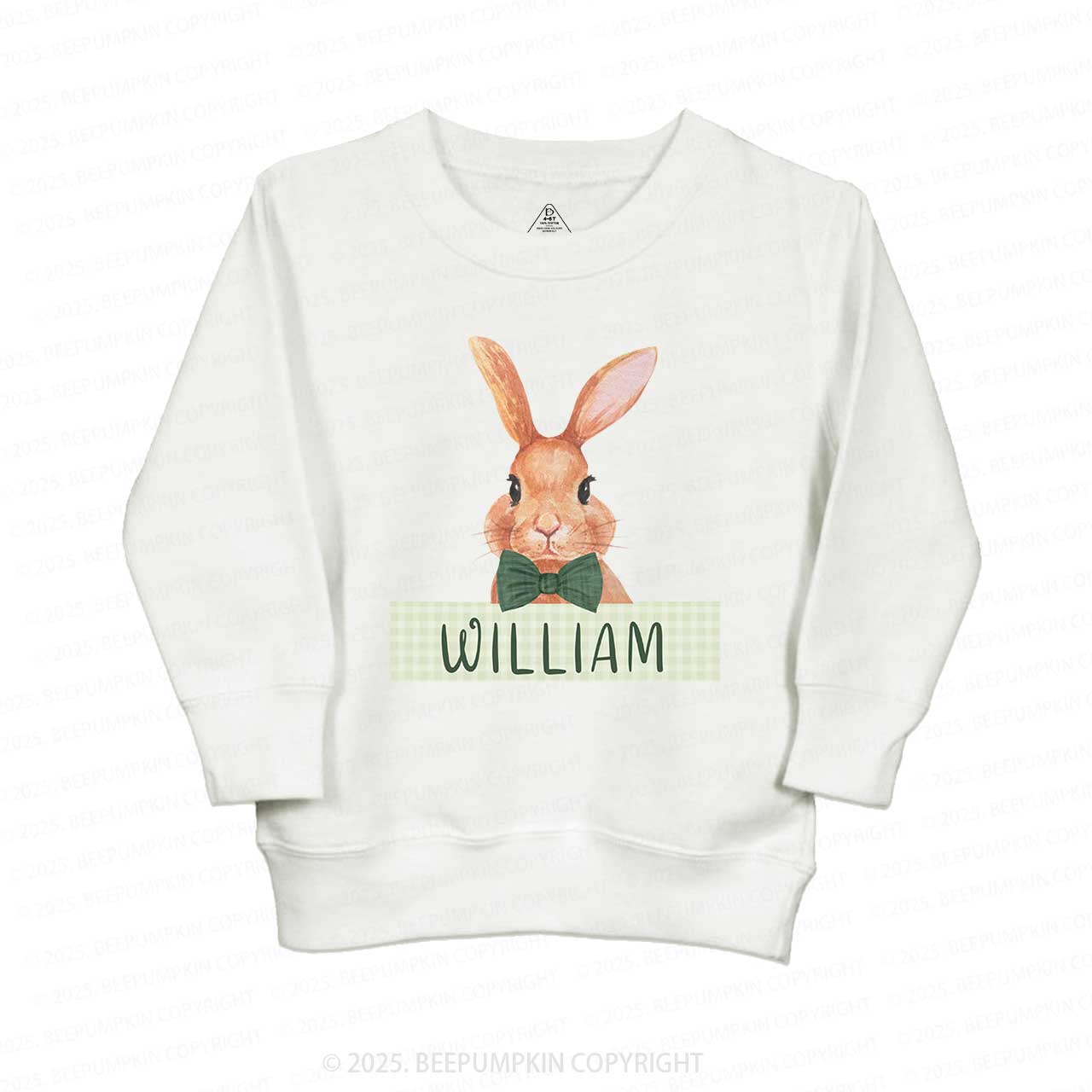 Personalized Boys Easter Bunny Sweatshirt