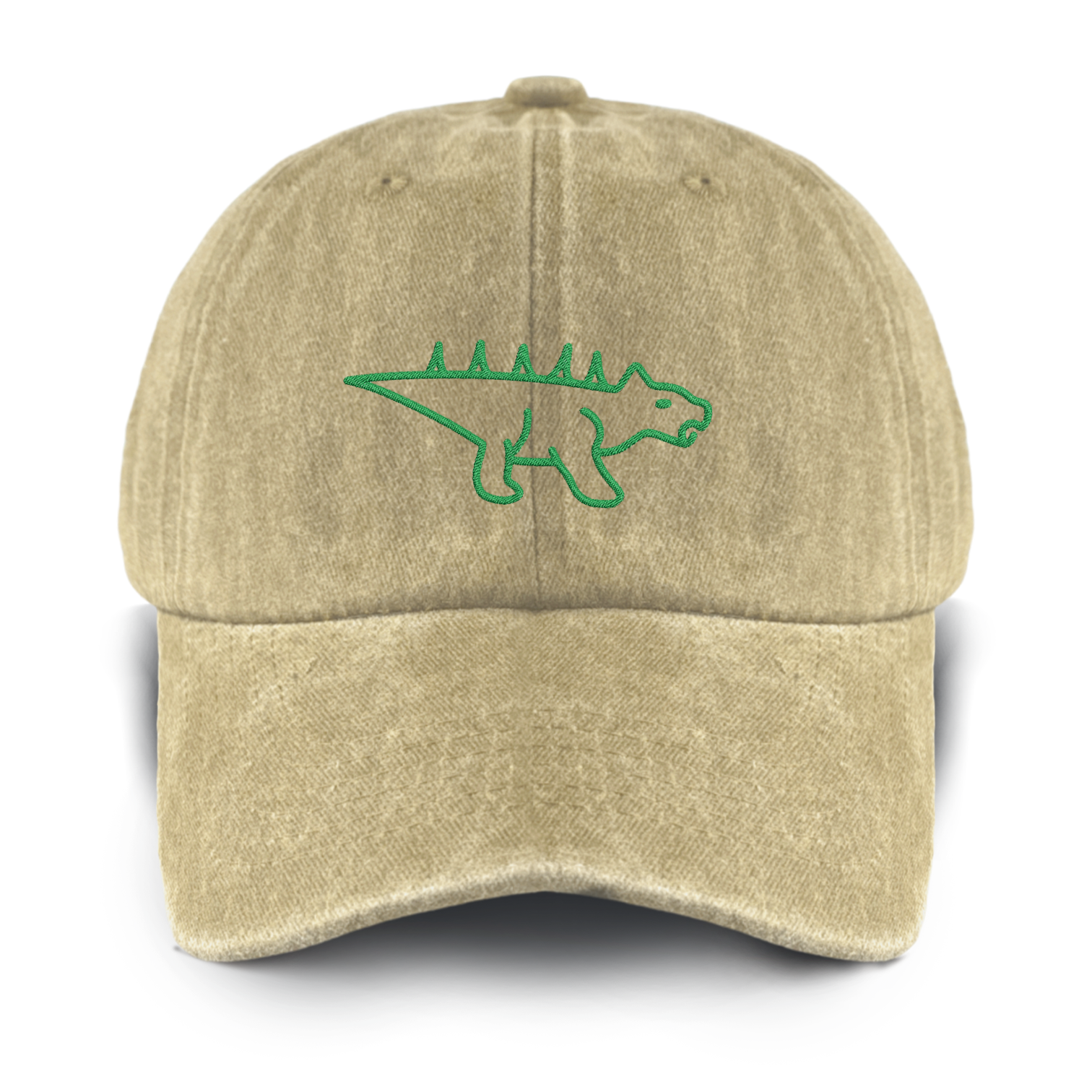 Personalized 17 Types Of Dinosaurs Washed Baseball Cap For Kids