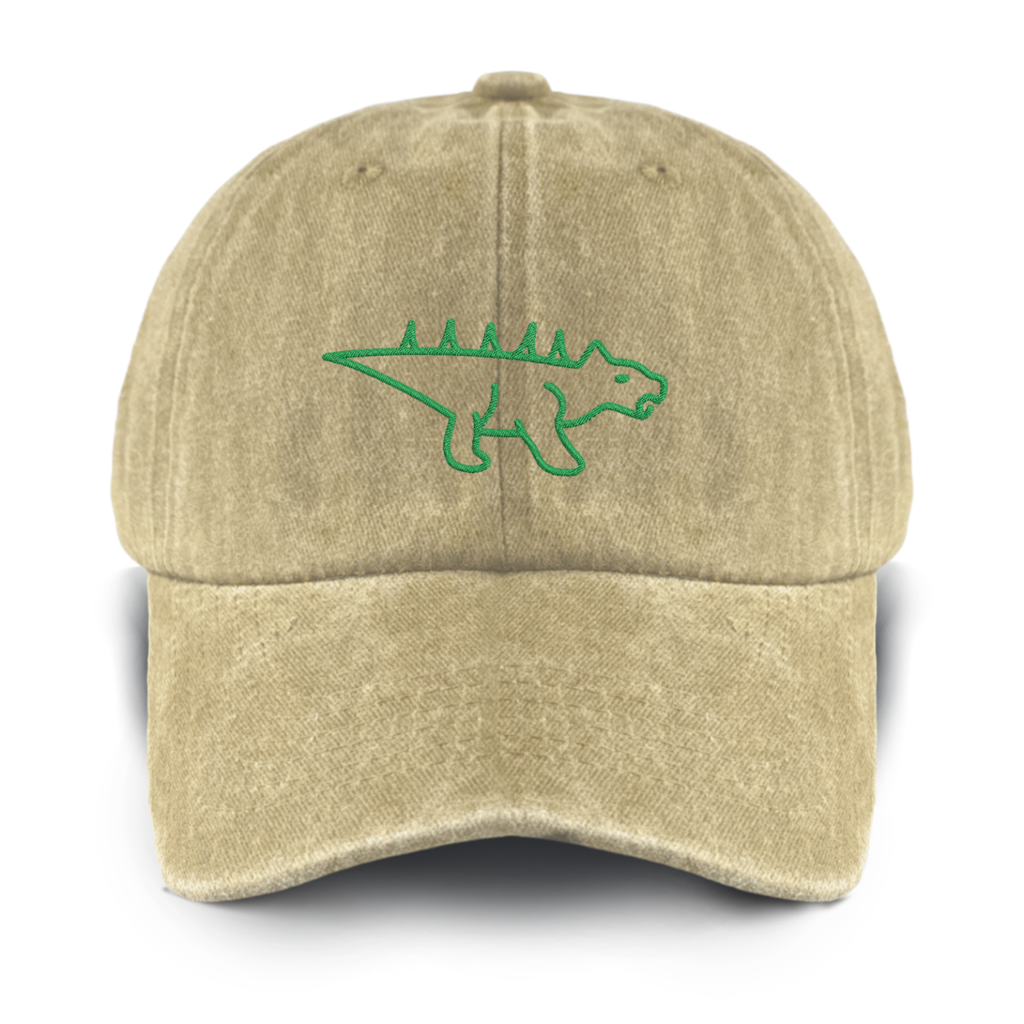 Personalized 17 Types Of Dinosaurs Washed Baseball Cap For Kids