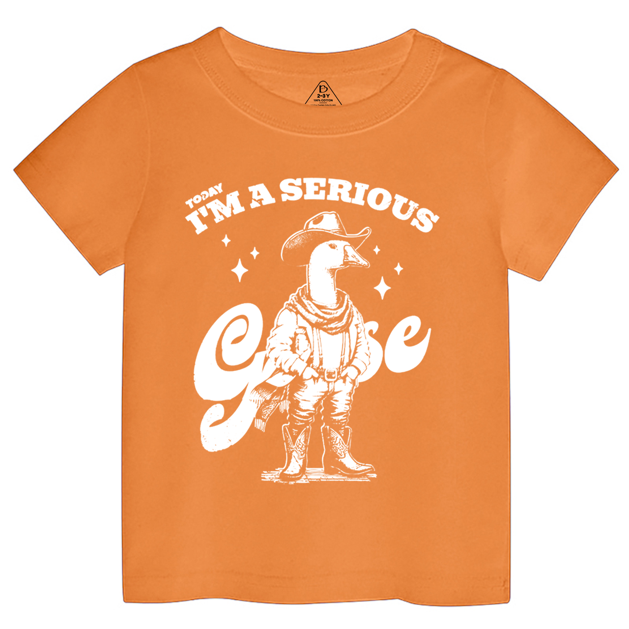 Serious Goose Toddler&Kid's Tees Beepumpkin
