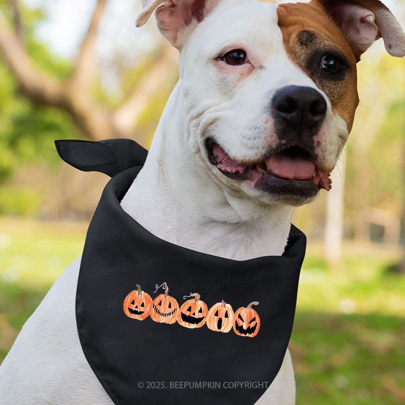 A Row Of Smiling Pumpkins Halloween Family Matching Shirts