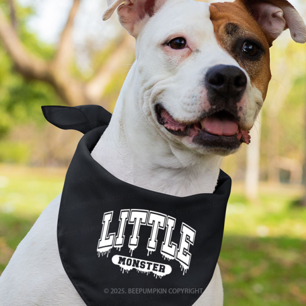 Personalized Little Monster Halloween Family Matching Shirts