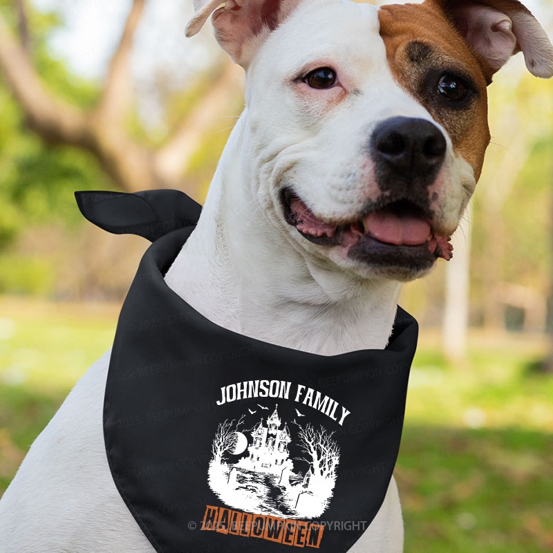 Personalized Halloween Family Name Matching Shirts