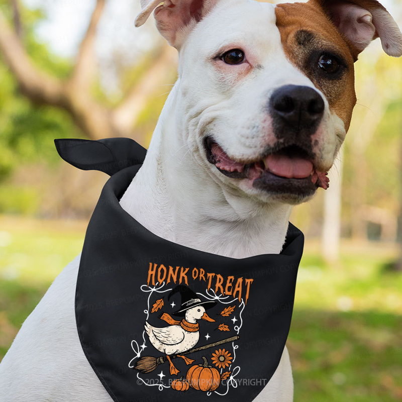 Honk Or Treat Halloween Goose Family Matching Shirts
