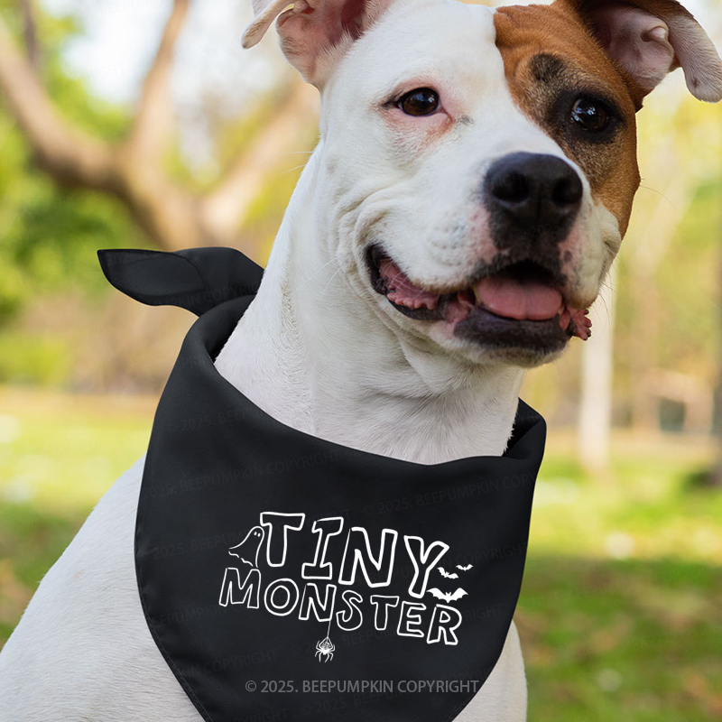 Personalized Little Monster Crew Halloween Family Matching Shirts