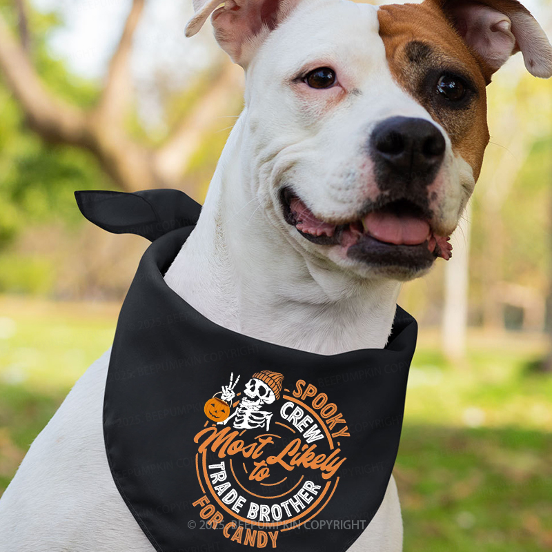 Personalized Creep It Real Squad Halloween Family Matching Shirts