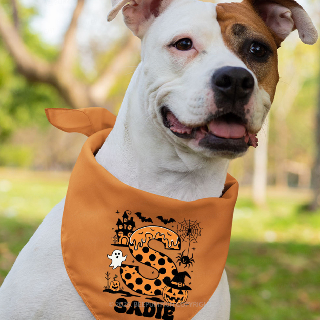 Personalized Alphabet Name Halloween Family Fun Matching Shirts