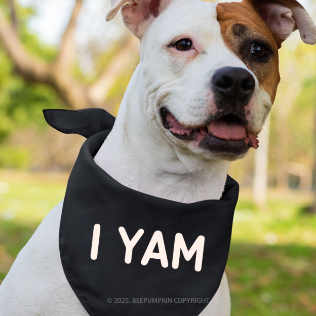 Personalized Funny Thanksgiving Party Family Matching Shirts