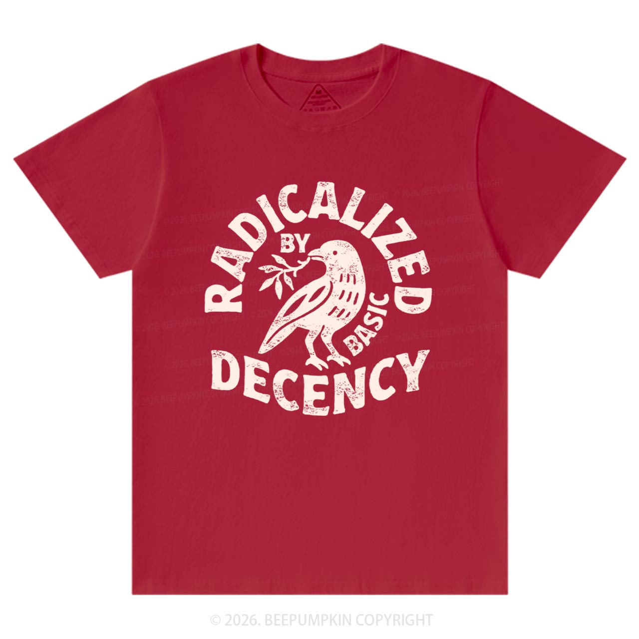 Radicalized By Basic Decency T-Shirts Beepumpkin