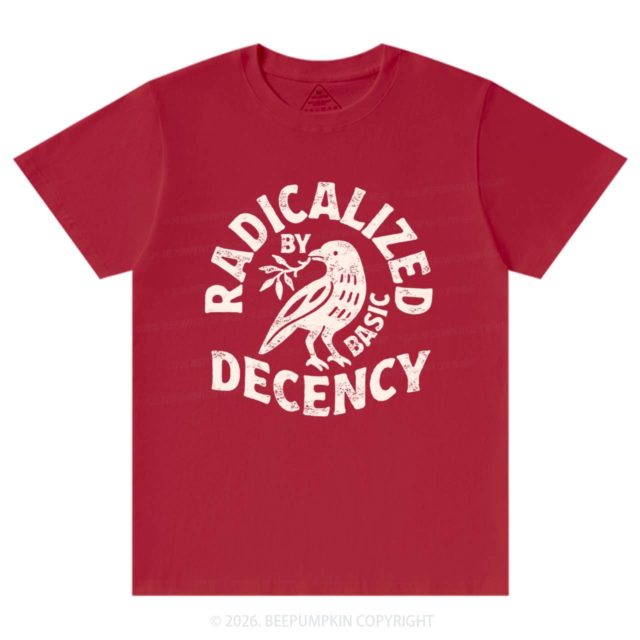Radicalized By Basic Decency T-Shirts Beepumpkin