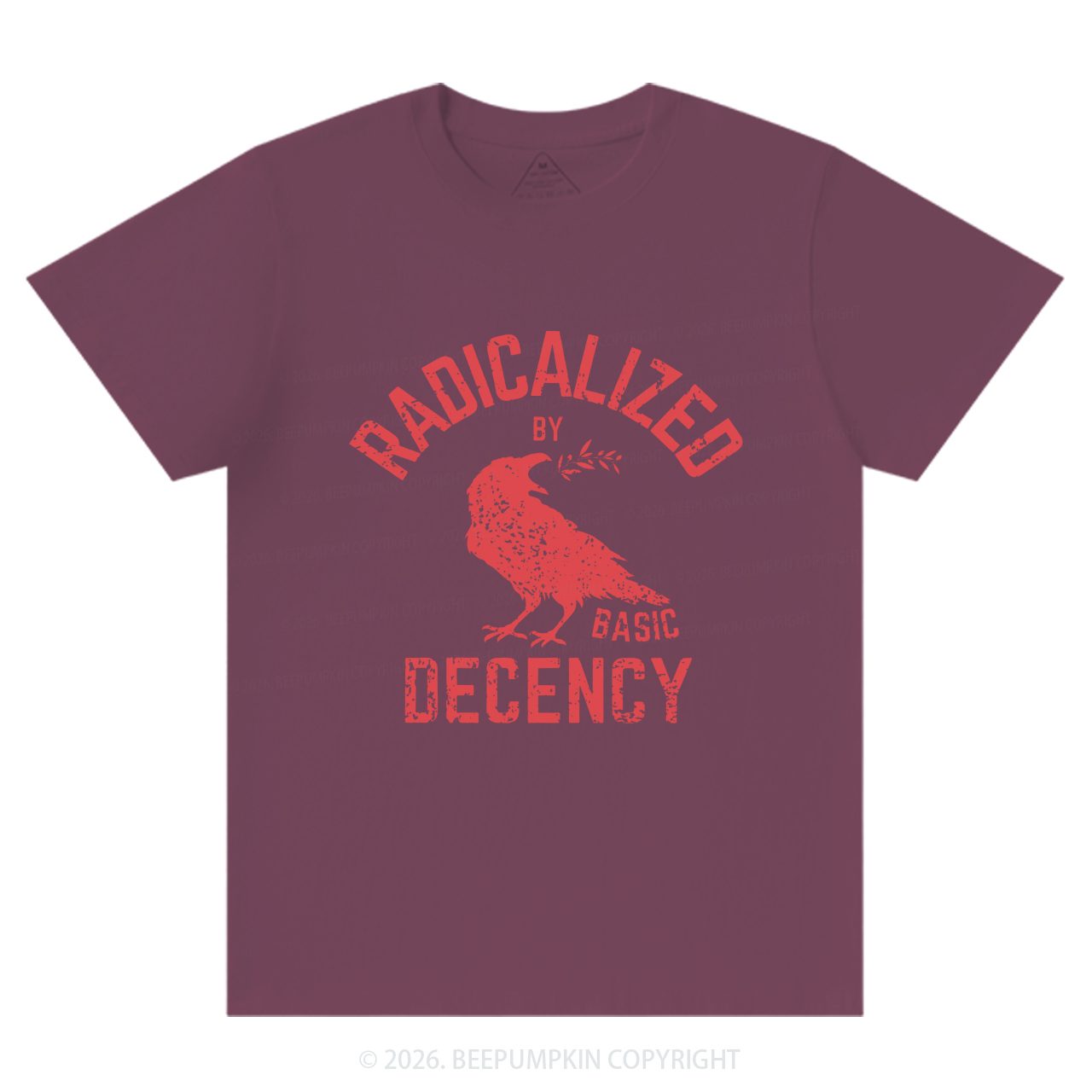 Radicalized By Basic Decency Equality T-Shirts