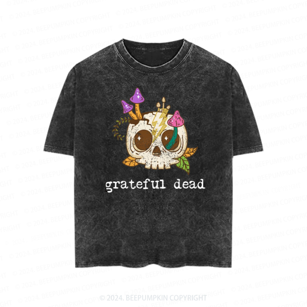 Rock n Roll Classic Rock Band Toddler&Kids Washed Tees          