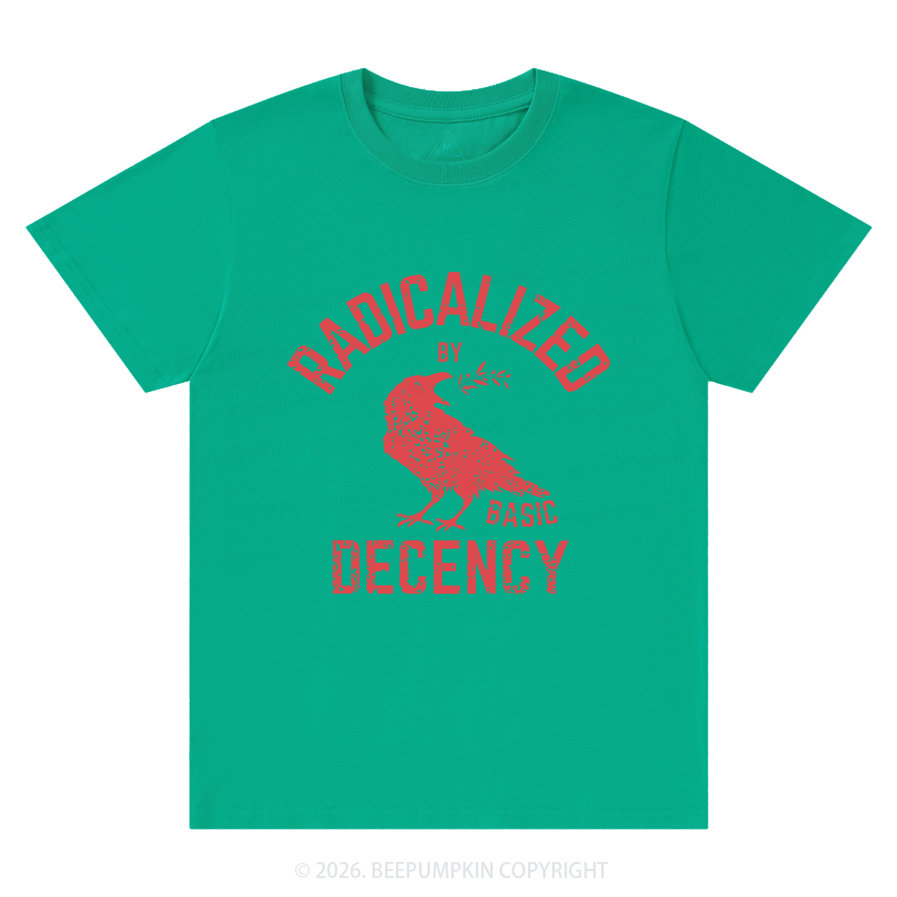 Radicalized By Basic Decency Equality T-Shirts