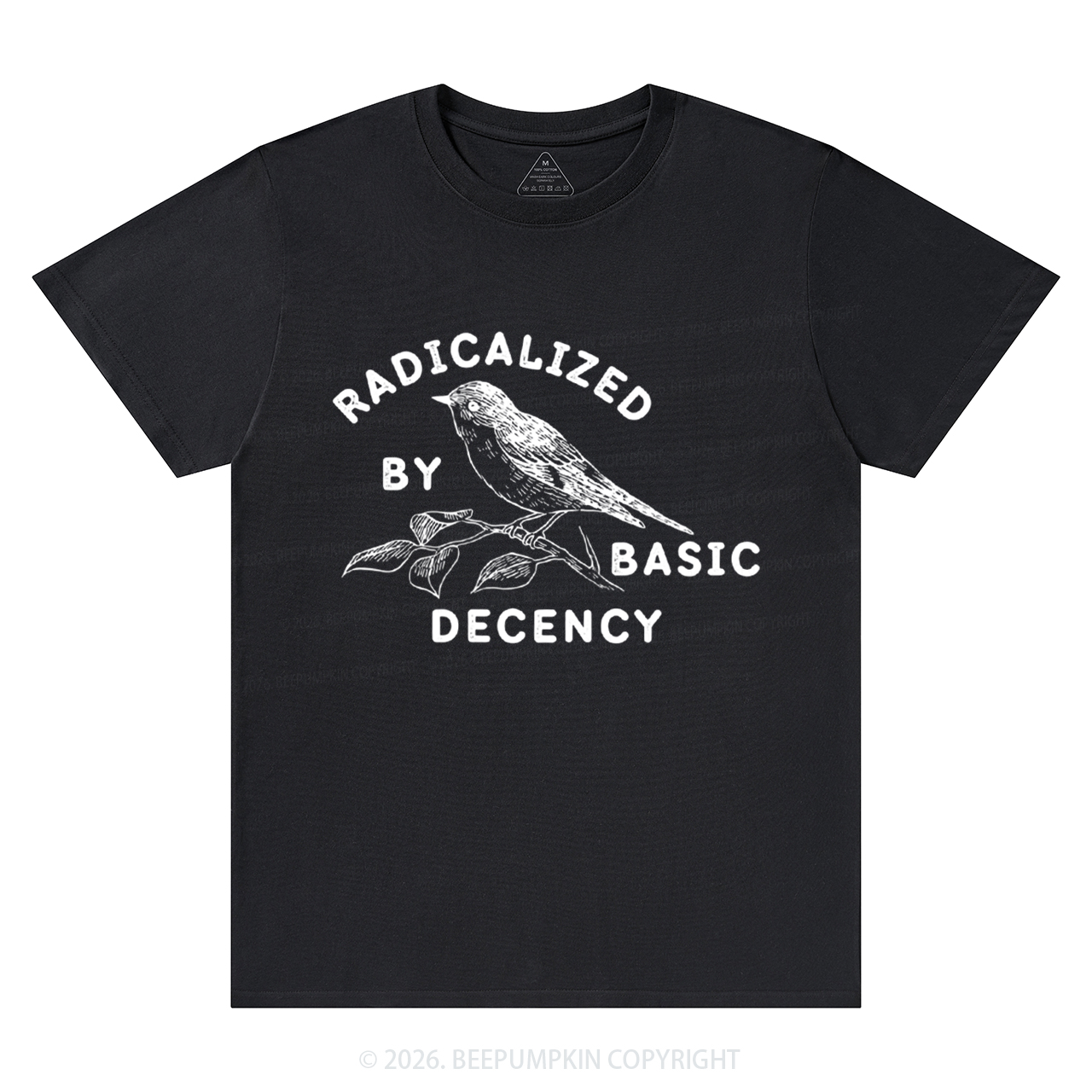 Radicalized By Basic Decency Activist T-Shirts