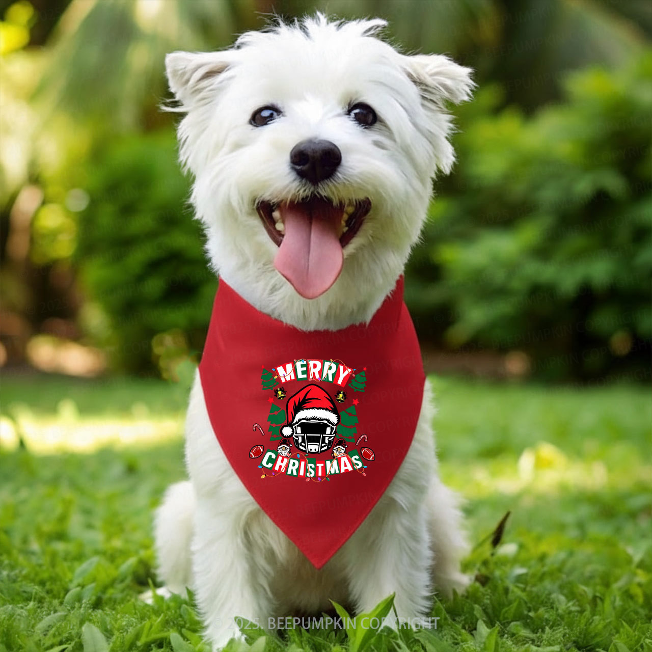 Football Christmas Family Matching T-Shirts Beepumpkin