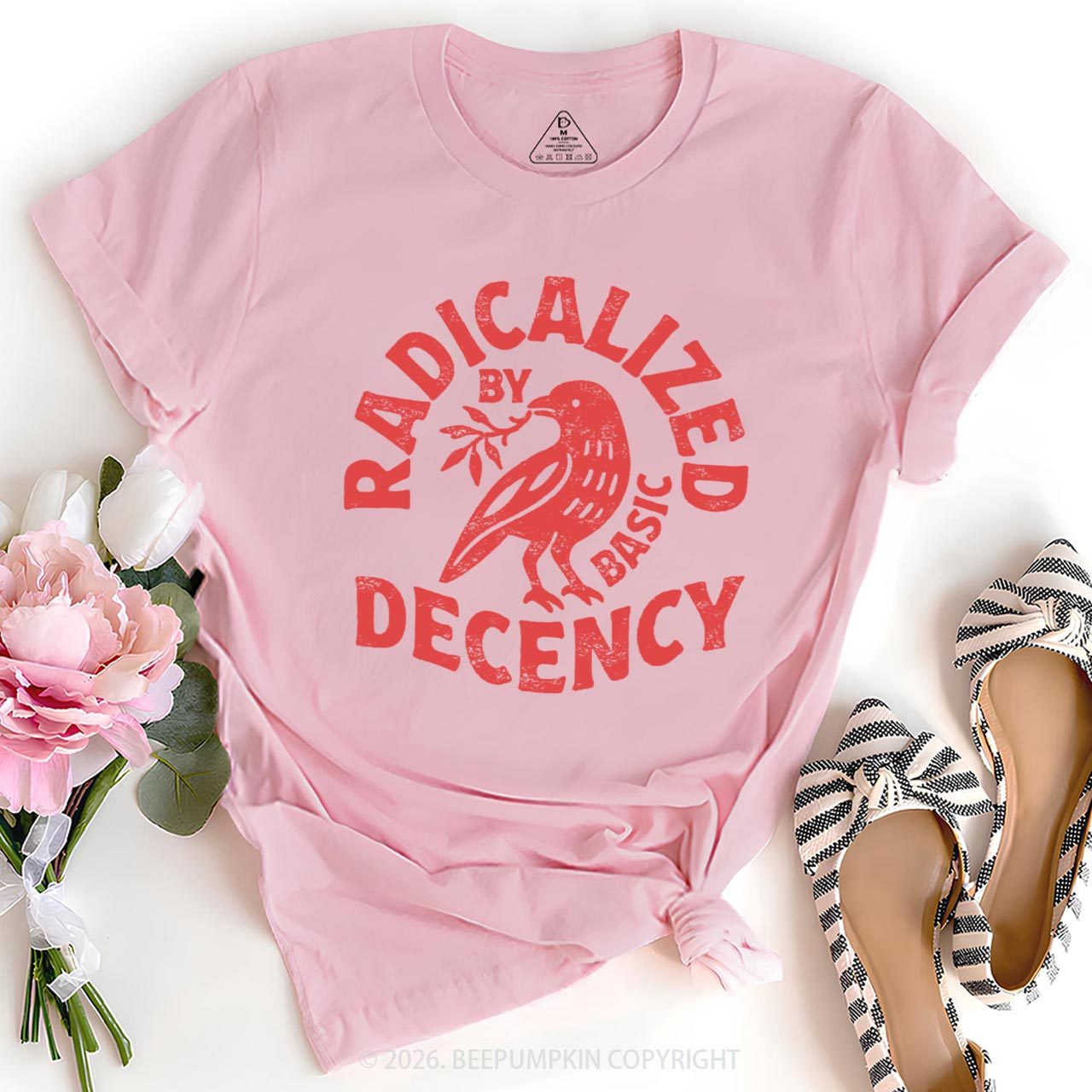Radicalized By Basic Decency T-Shirts Beepumpkin