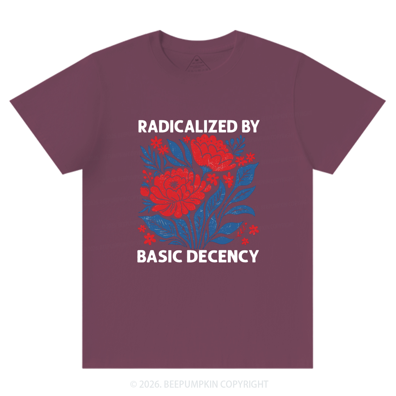 Radicalized By Basic Decency Feminist T-Shirts