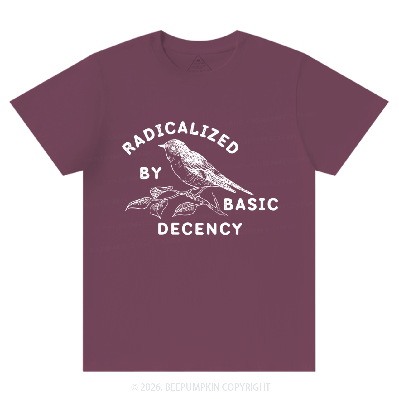 Radicalized By Basic Decency Activist T-Shirts