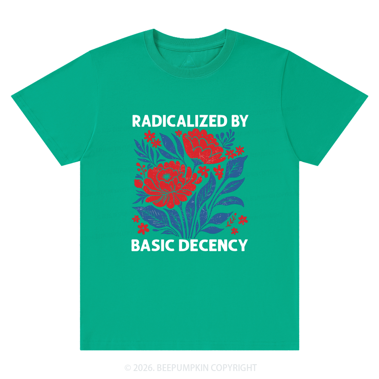 Radicalized By Basic Decency Feminist T-Shirts