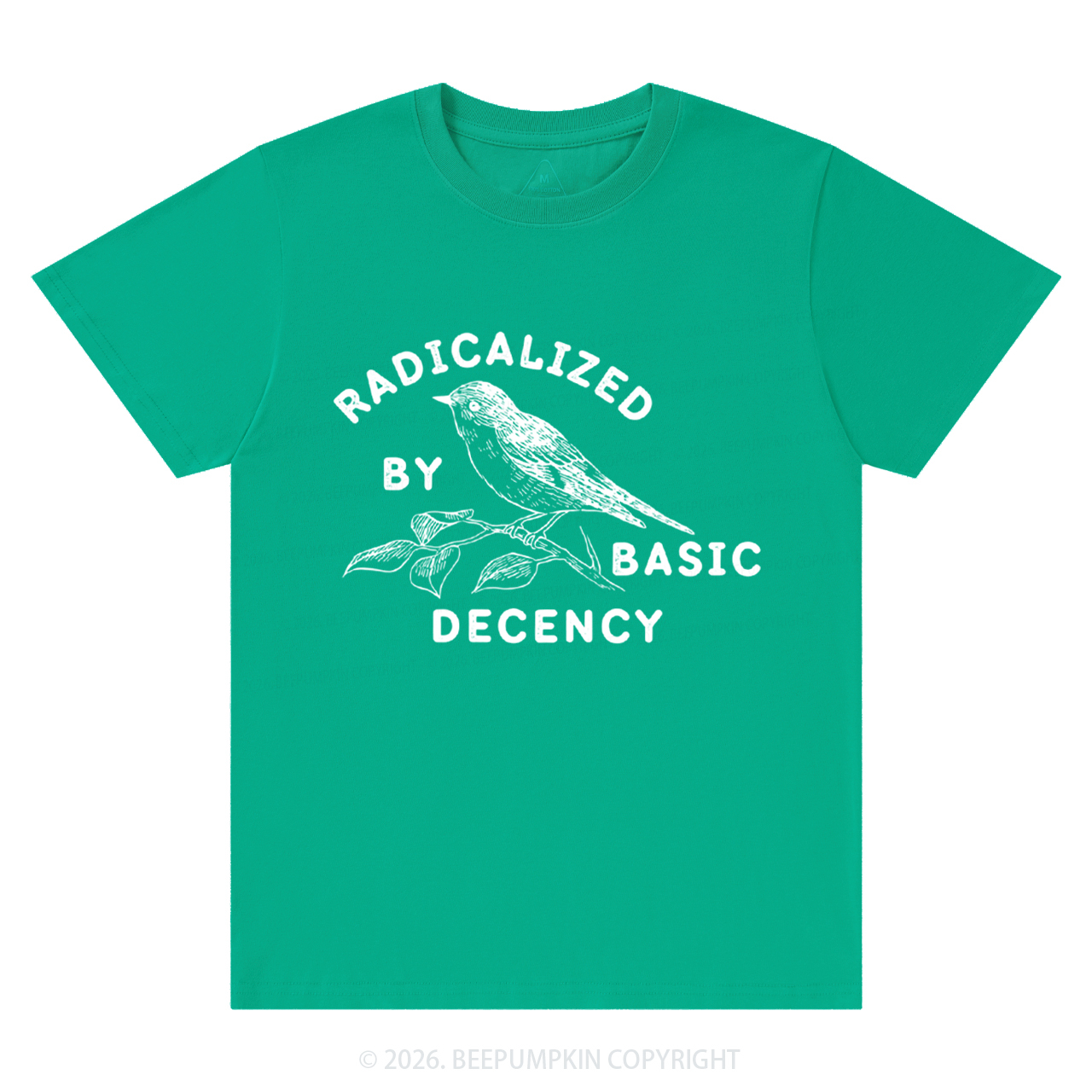 Radicalized By Basic Decency Activist T-Shirts