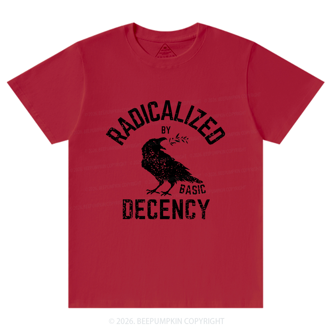 Radicalized By Basic Decency Equality T-Shirts