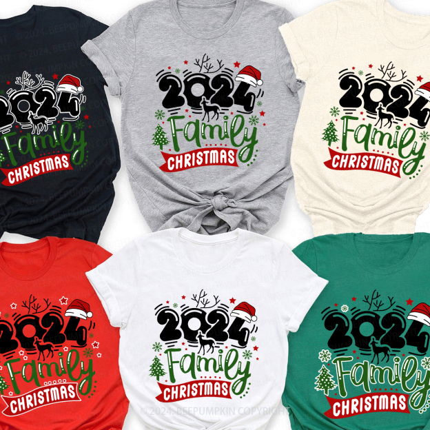 Christmas Hat With 2024 Family Matching Shirts