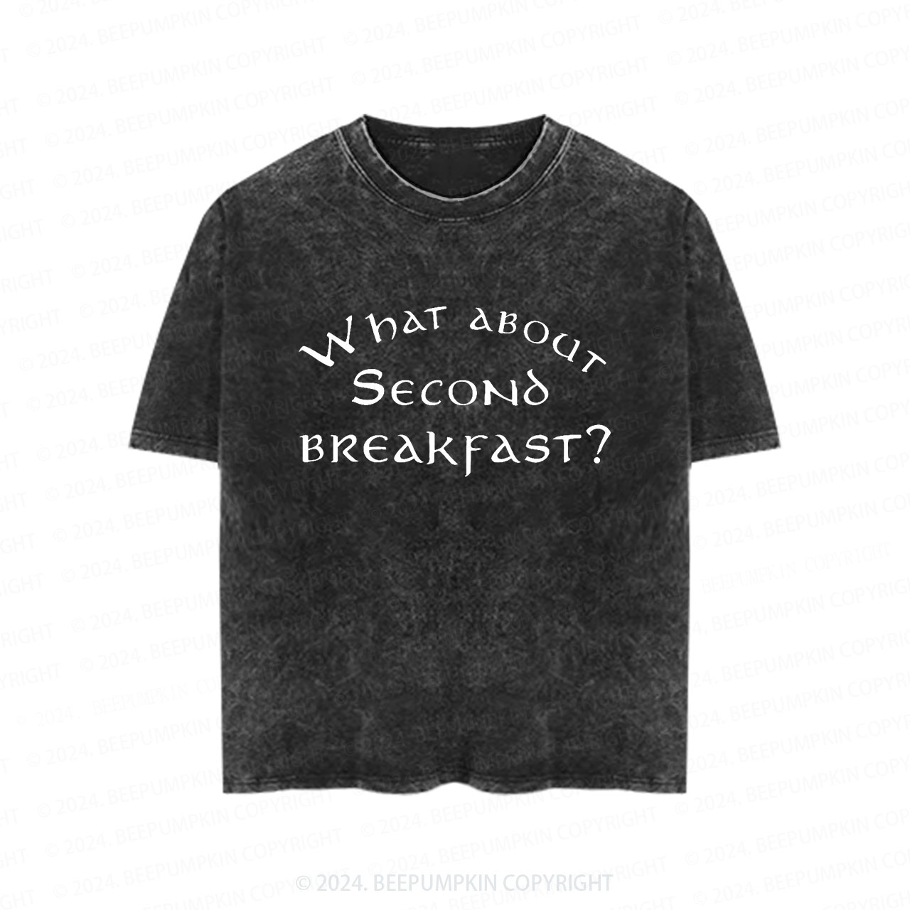 What About Second Toddler&Kids Washed Tees          