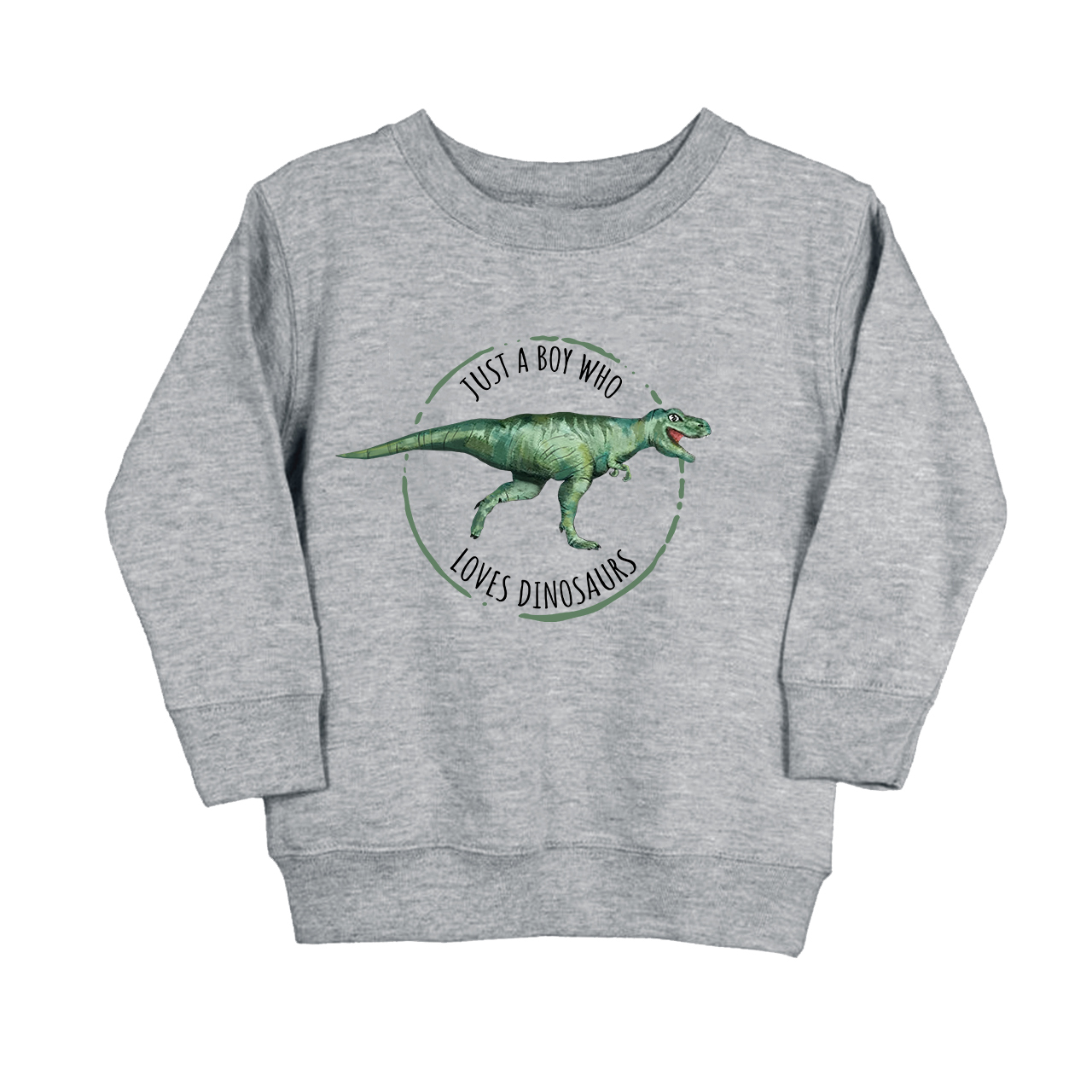 Just A Boy Who Loves Dinosaurs Kids Sweatshirt
