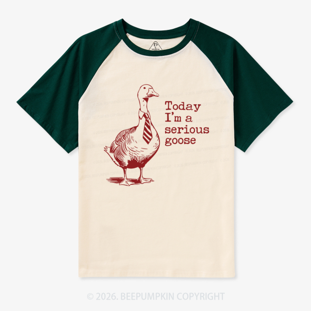 Today I'm A Serious Goose Retro Raglan T-shirt