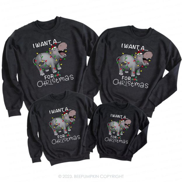 I Want a Rhino for Christmas Matching Family Sweatshirt