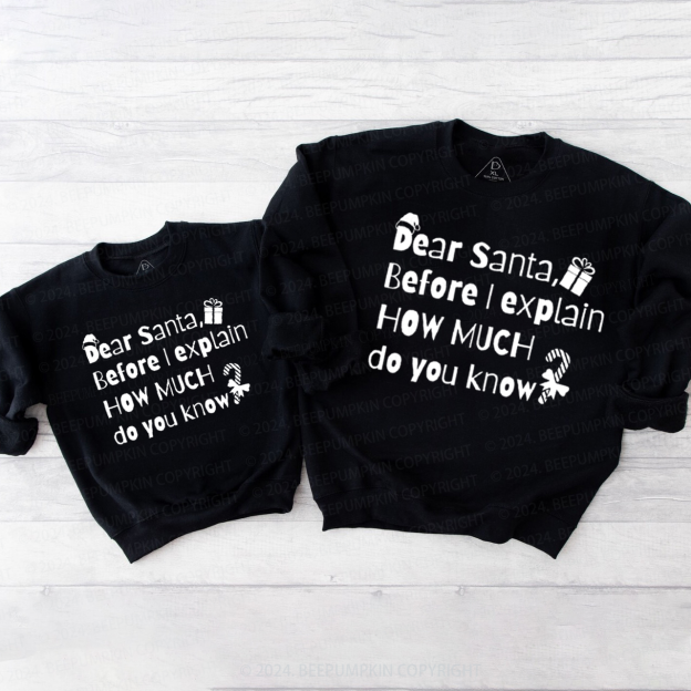 Funny Christmas  Holiday Family Christmas Sweatshirt