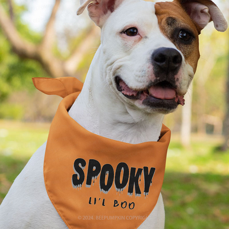 Cute Boo Spooky Family Matching Shirts