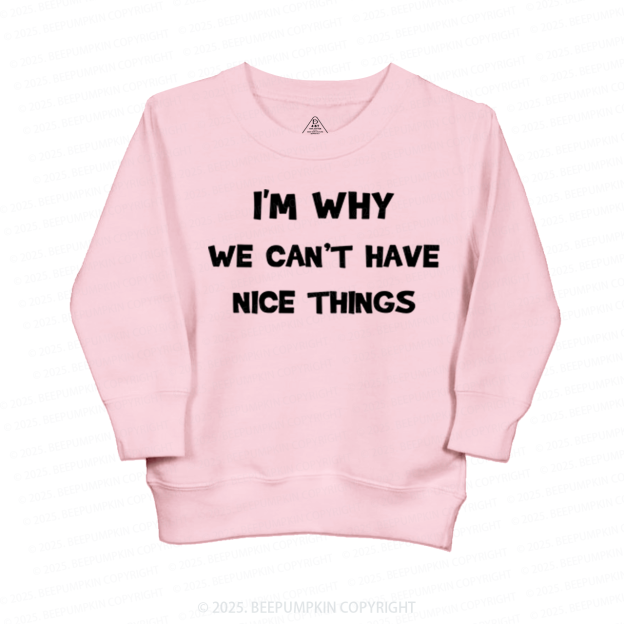 I'm Why We Can't Have Nice Things Kid's Sweatshirt
