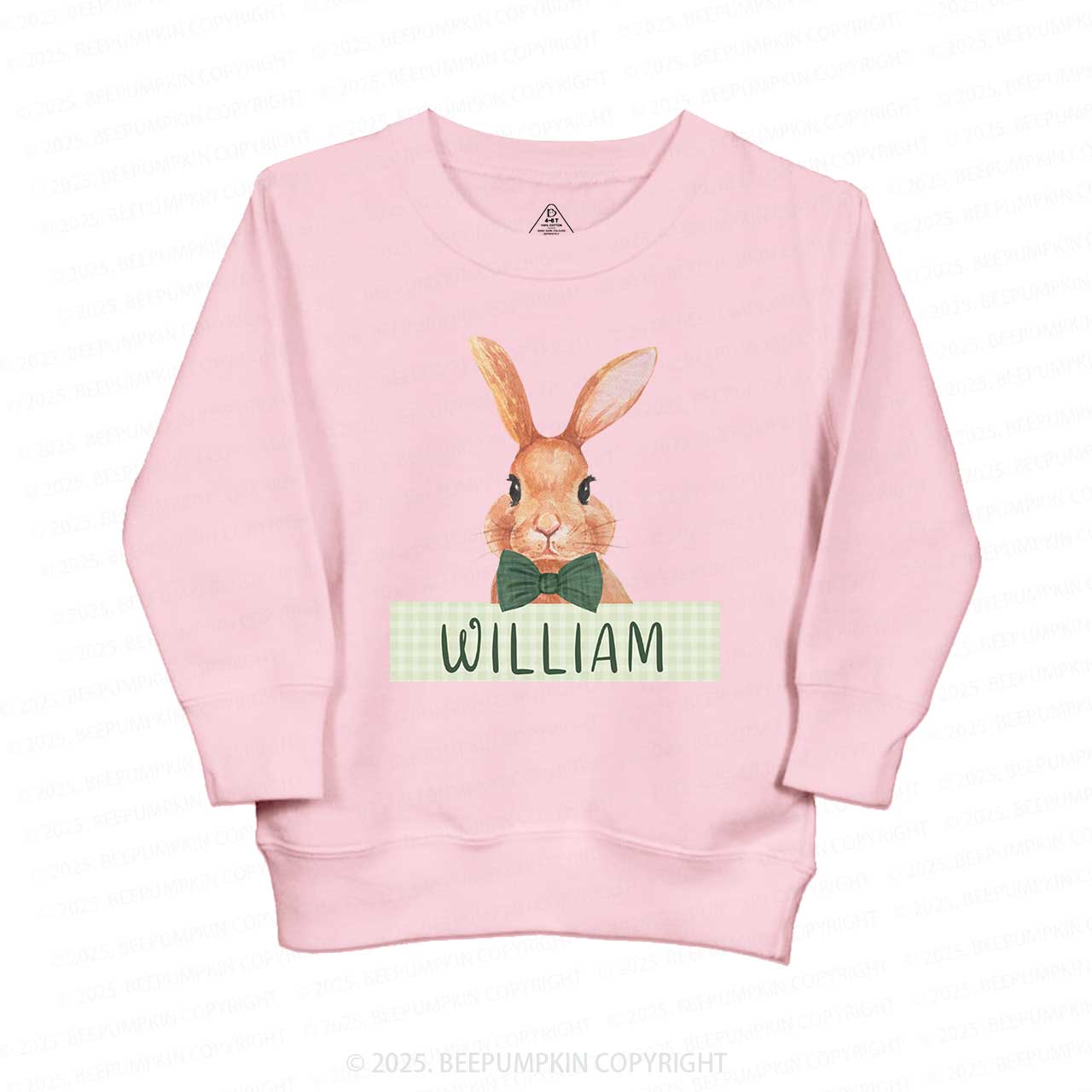 Personalized Boys Easter Bunny Sweatshirt